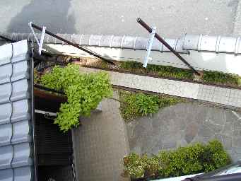 併用軌道