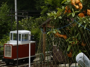 DD１１-９号機 写真5